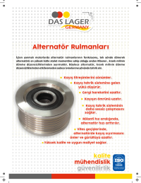 Alternatör Rulmanları