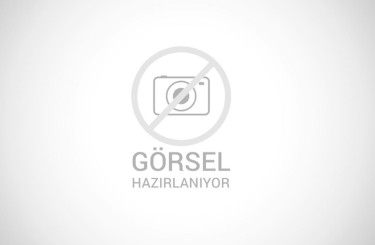 MAKARALI TRANSMİSYON ZİNCİRLERİ